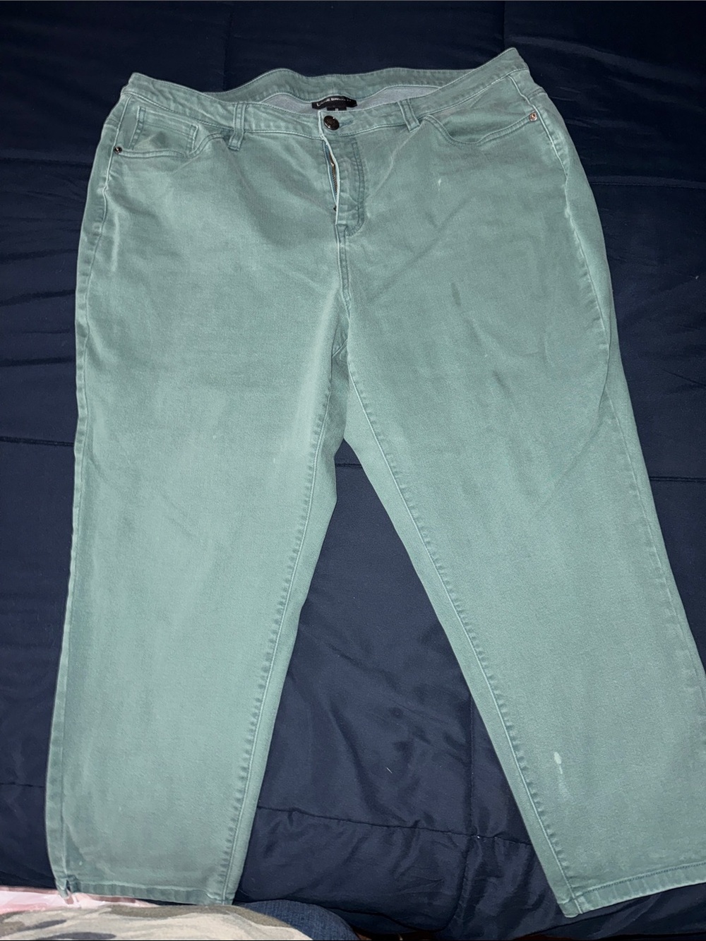 Lane Bryant Mint Green Cropped Pants